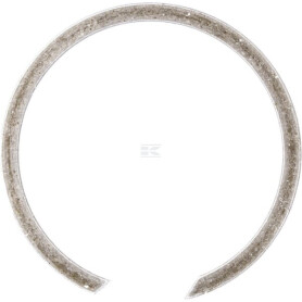 Circlip IDC BR25