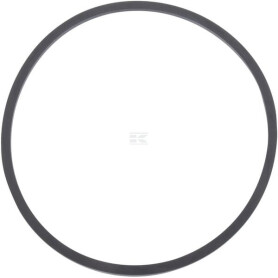 Bague de prise de force RAICO C0NN7A548AN