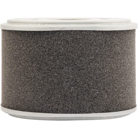 Filtre à air MANN-FILTER C10015