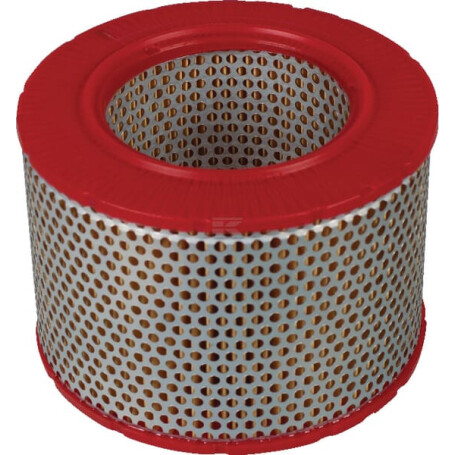 Filtre à air MANN-FILTER C15556