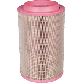 Filtre à air MANN-FILTER C258605
