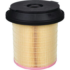 Filtre à air MANN-FILTER C29010KIT