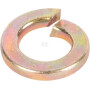 Ressort CARRARO CI022856