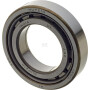 Roulements à rouleaux CARRARO CI027530