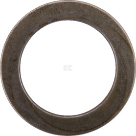 Circlip CARRARO CI024820