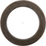Circlip CARRARO CI024820