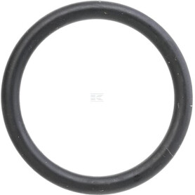 Joint torique CARRARO CI028189
