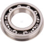 Roulement CARRARO CI026164
