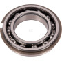 Roulement CARRARO CI025750