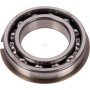 Roulement CARRARO CI025750