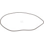 Joint torique CARRARO CI028649
