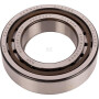 Roulements à rouleaux CARRARO CI027534