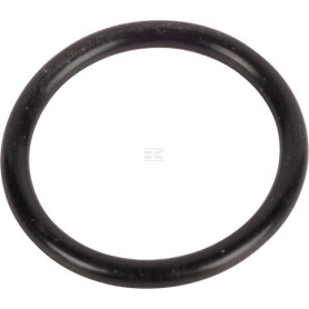 Joint torique CARRARO CI028129