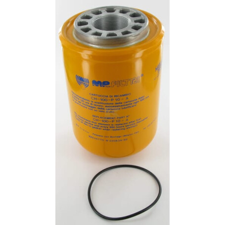 Filtre MP FILTRI CH100P10