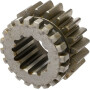 Engrenage CARRARO CI130080