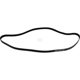Courroie CARRARO CI401645