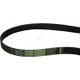 Courroie OPTIBELT CQ42066AB