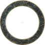 Rondelle AMAZONE DL038