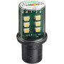 LED blanc SCHNEIDER-ELECTRIC DL1BDB1