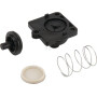 Clapet antiretour SHURFLO DIP9491003