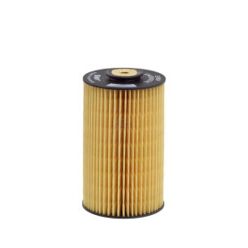 Élément de carburant HENGST E10KPD10