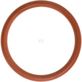 Circlip LOMBARDINI ED0012000810S