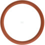 Circlip LOMBARDINI ED0012000810S