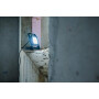 Lumière LED LED BRENNENSTUHL EM1171250547