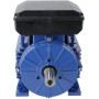 Moteur électrique UNIVERSEL EM100LA4B31A0IE2A