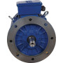 Moteur électrique UNIVERSEL EM160L2B5500IE3GKR