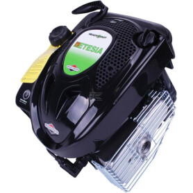 Moteur ETESIA ET42151