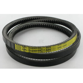 Courroie MASCHIO F06010067R