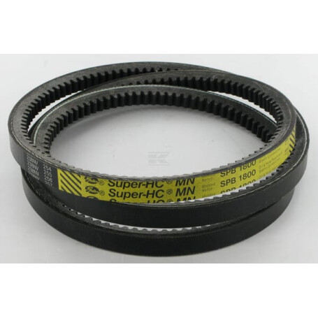 Courroie MASCHIO F06010067R