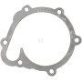 Joint d'étanchéité AGCO F119200610040