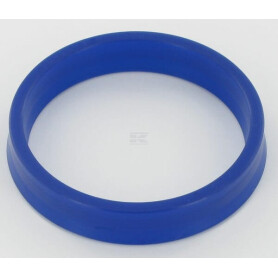 Disque GASPARDO F01410051R