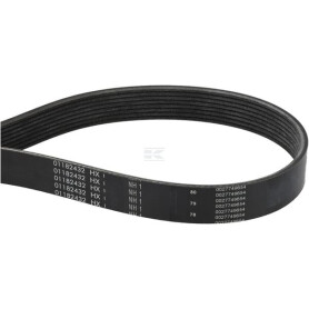 Courroie FENDT (AGCO) F954200040020
