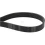 Courroie FENDT (AGCO) F954200040020