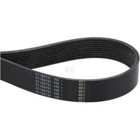 Courroie FENDT (AGCO) F954200040010