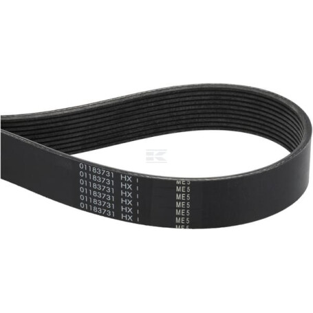 Courroie FENDT (AGCO) F954200040010