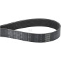 Courroie AGCO F737200040010