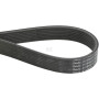 Courroie FENDT (AGCO) F946201040020