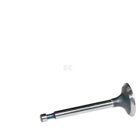 Soupape d'admission BRIGGS & STRATTON FGP014354