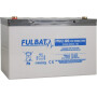 Batterie FULBAT FPG12100