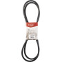 Courroie UNIVERSEL FGP002600