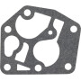 Carburateur BRIGGS & STRATTON FGP456480