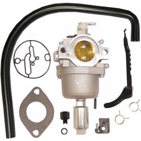 Carburateur BRIGGS & STRATTON FGP456484