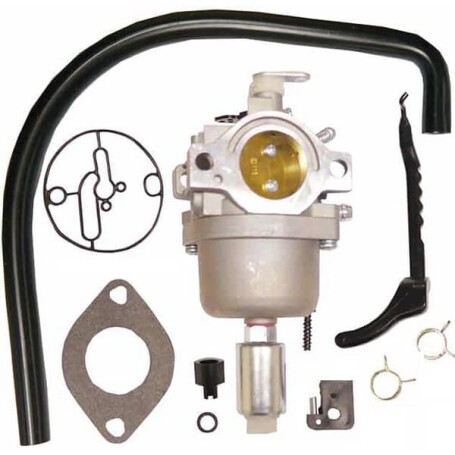 Carburateur BRIGGS & STRATTON FGP456484