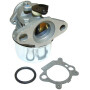Carburateur BRIGGS & STRATTON FGP456485