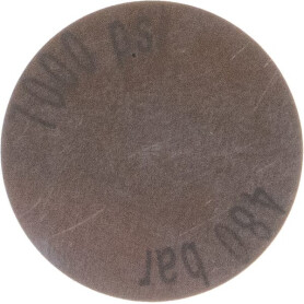 Disque de sécurité WEBTEC FT3387