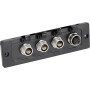 Module d'entrée WEBTEC FT1129602